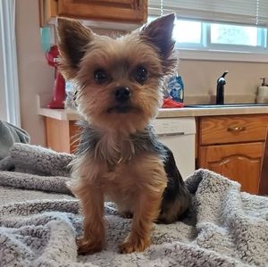 Meet your Posher, Terry